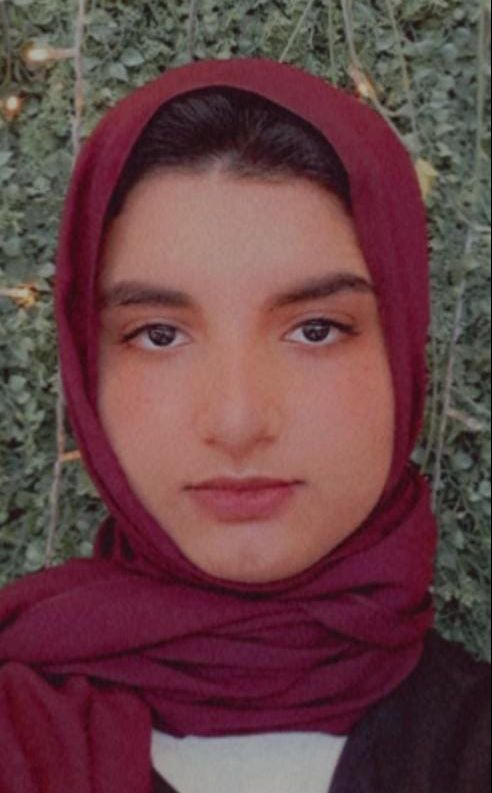 مرحلة التعليم الجامعي 