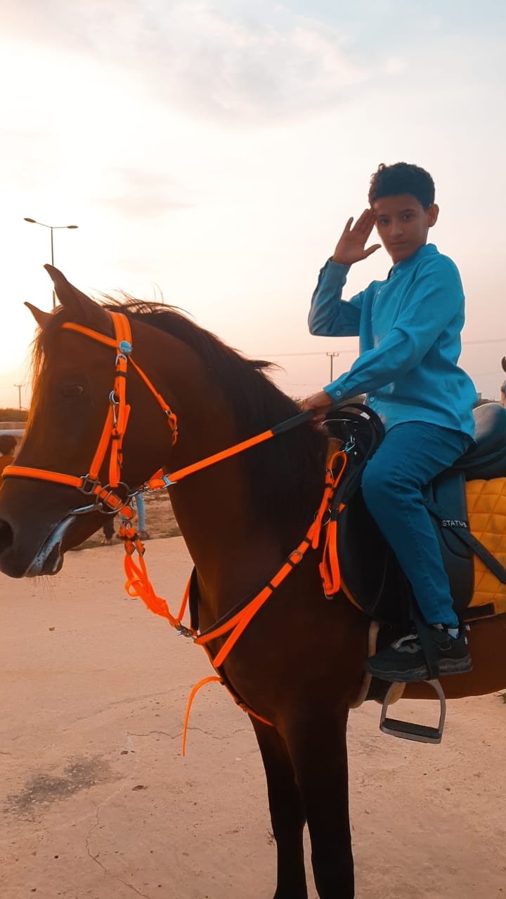 قصة شفاء بمربط مهاب للخيل العربية