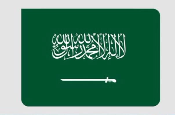 بناءً على طلب المملكة والعراق .. اجتماع طارئ لمجلس وزراء خارجية منظمة التعاون الإسلامي بشأن تكرار حوادث تدنيس وحرق نسخ من المصحف الشريف في السويد والدانمارك