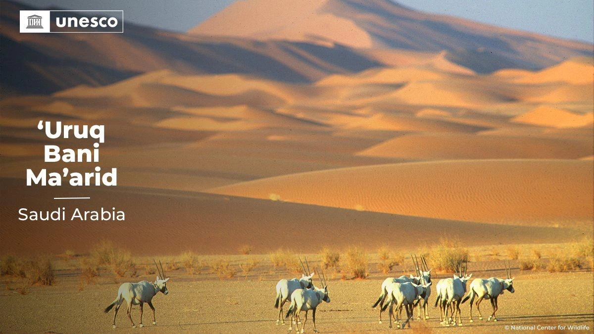 "عروق بني معارض" في قائمة التراث العالمي