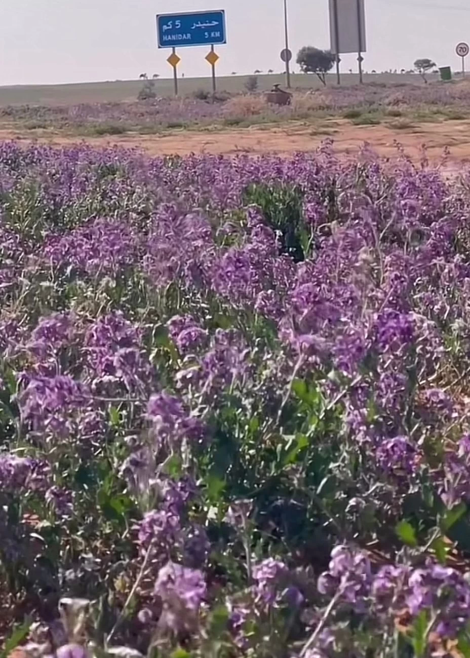 حنيدر تستحق الزيارة