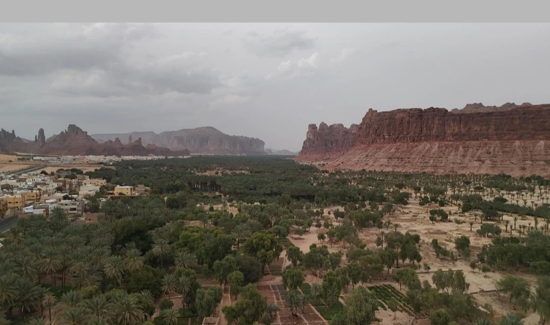 نخيل العُلا .. متنفس الأهالي في رمضان 