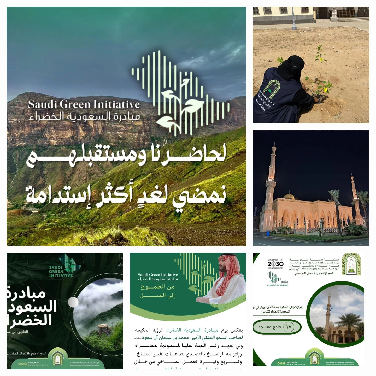 إسلامية جازان تقوم بتشجير أكثر من ٧٠٠ مسجد وجامع في المنطقة