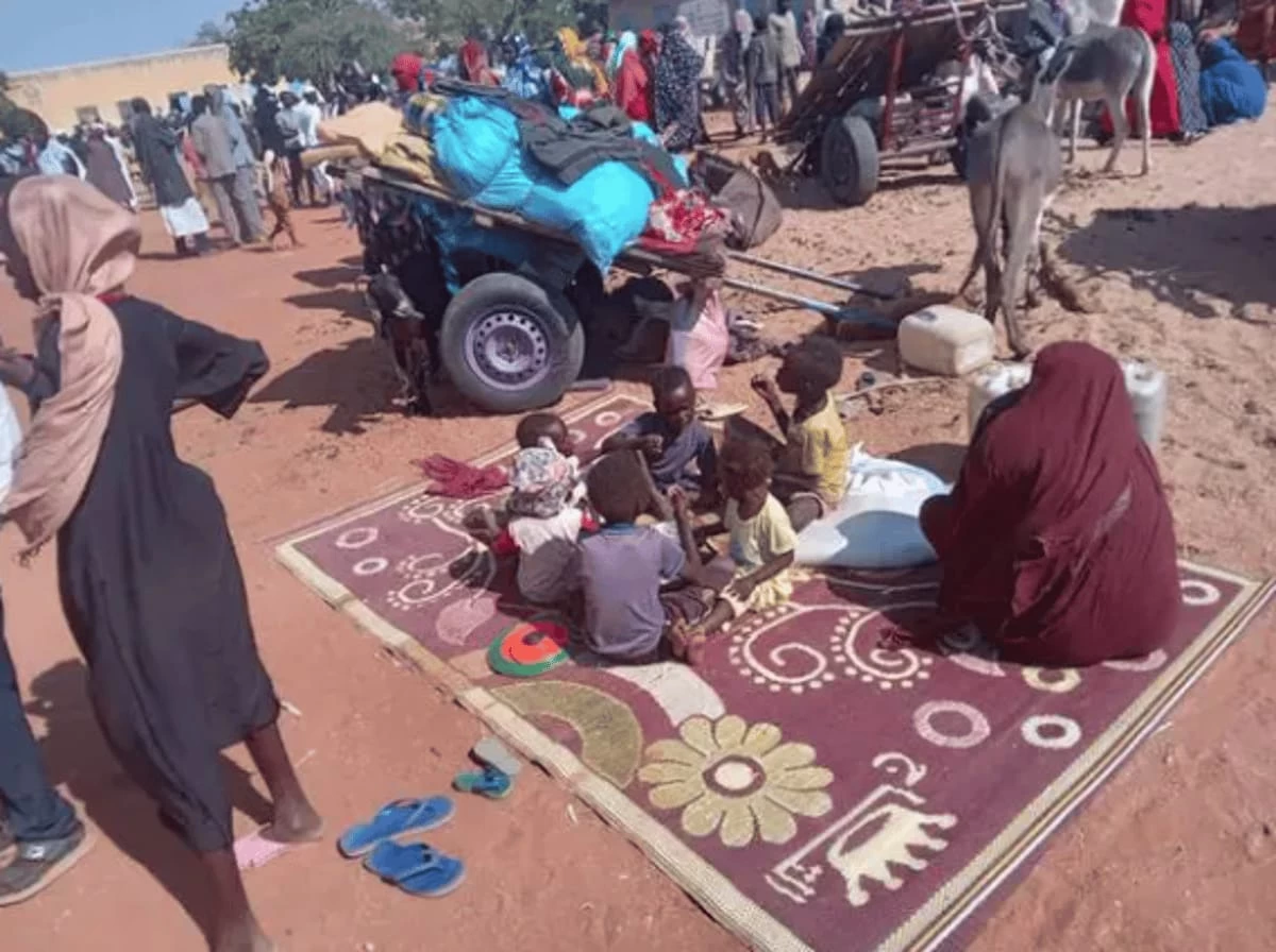 الحصاد المر .. الحرب في السودان بين دعوات التخريب ودبلوماسية العقل العربي 