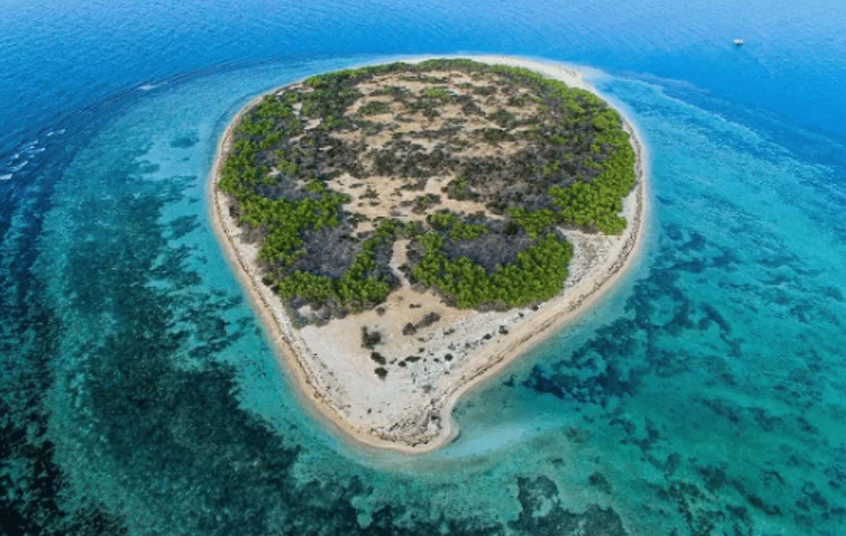 اليوم.. انطلاق فعاليات منتدى المحميات الطبيعية "حِمى" بمشاركة محلية ودولية