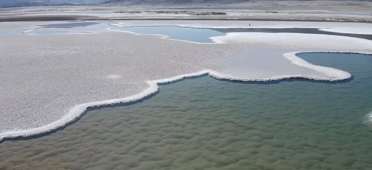 دراسة جديدة تؤكد أن الحياة على الأرض نشأت في المملكة قبل 3.48 مليار سنة