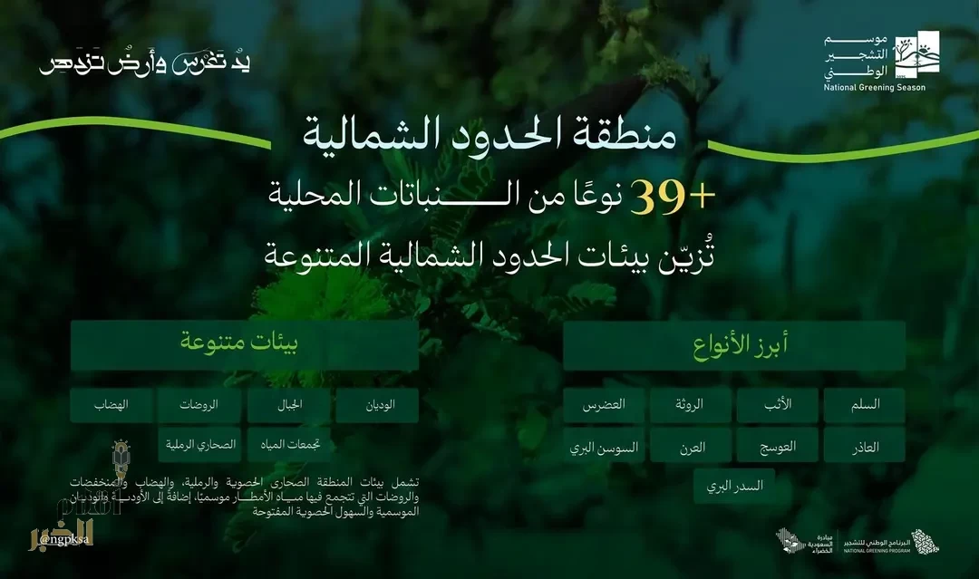 البرنامج الوطني للتشجير: بيئات الحدود الشمالية تزدهر بانتشار39 نوعًا من النباتات المحلية الملائمة للتشجير