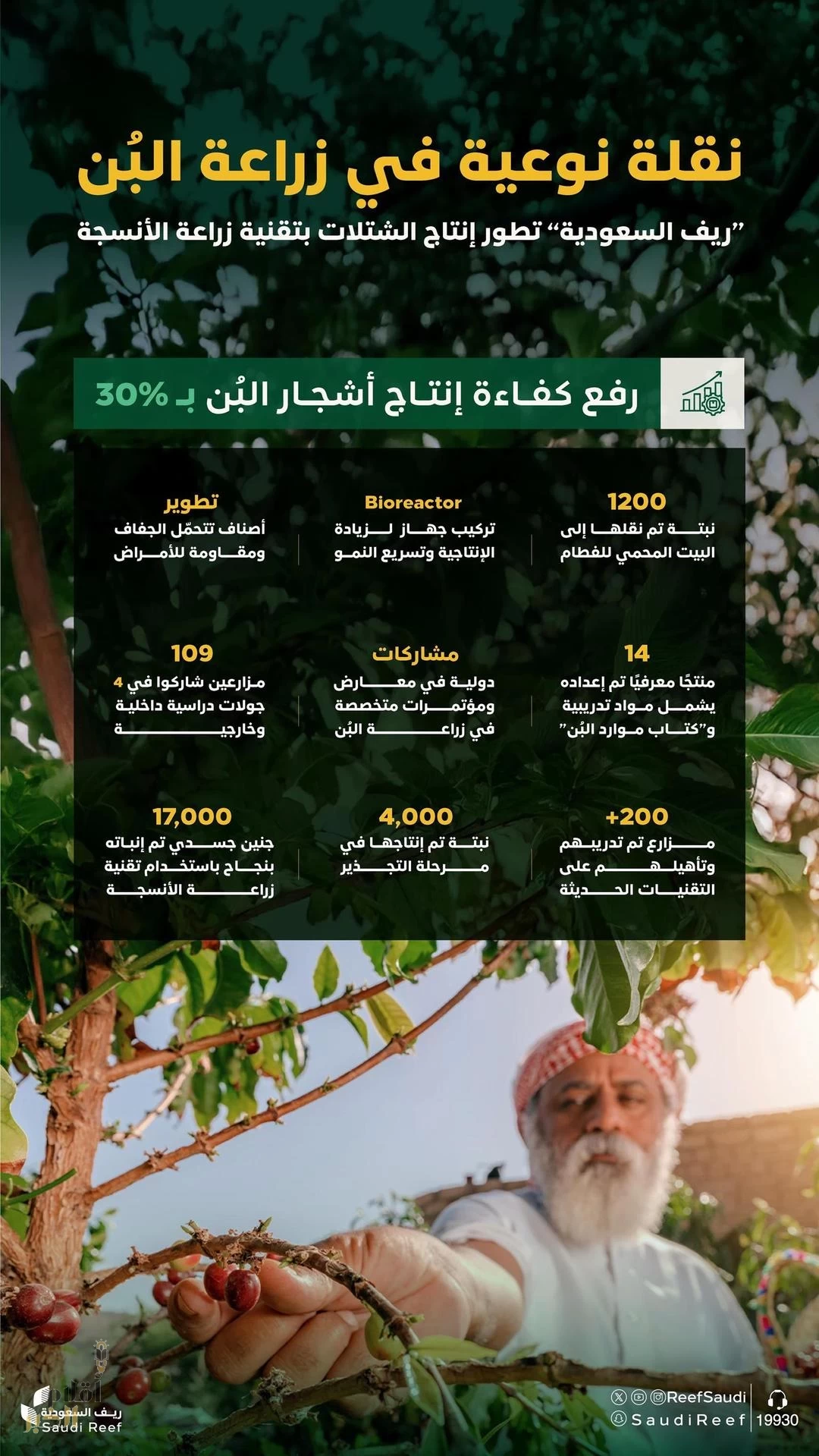 ريف السعودية" يُطلق مشروعًا نوعيًا لتطوير زراعة أنسجة أشجار البُن لرفع كفاءتها بنسبة 30%