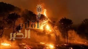 حرائق غابات كبيرة تخلّف أضرارًا ضخمة جنوب فرنسا