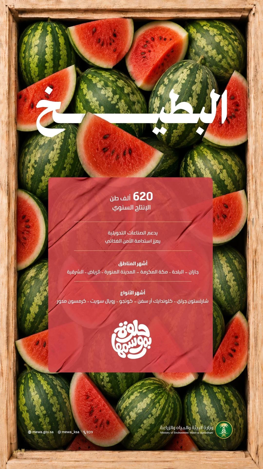 البطيخ يشهد ذروة الإقبال في موسم الصيف