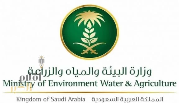 "البيئة" تطرح 4 فرص استثمارية لدعم قطاع الثروة الحيوانية وتعزيز إنتاج اللحوم الحمراء بالرياض