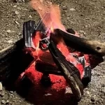 الأمن البيئي يضبط مخالفًا لإشعال النار في محمية الإمام فيصل