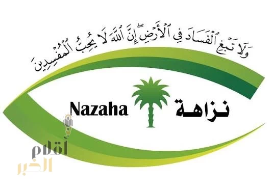 هيئة الرقابة ومكافحة الفساد تباشر مئات القضايا الجنائية والإدارية خلال ديسمبر 2025