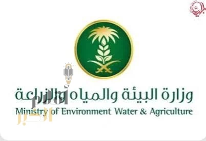 "البيئة" تطرح 4 فرص استثمارية لدعم قطاع الثروة الحيوانية وتعزيز الأمن الغذائي في جازان