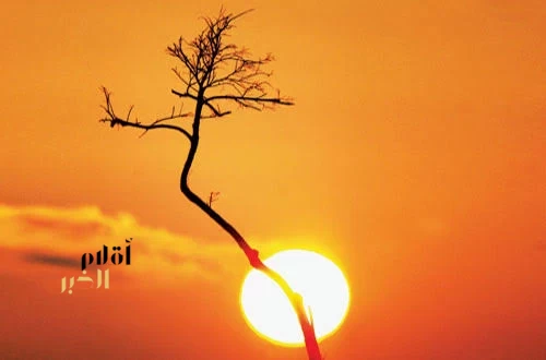 تغيّر المناخ يطيل فصل الصيف ويجعله يبدأ مبكرًا