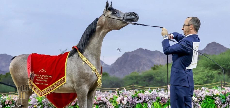 انطلاقة جولة الجياد العربية