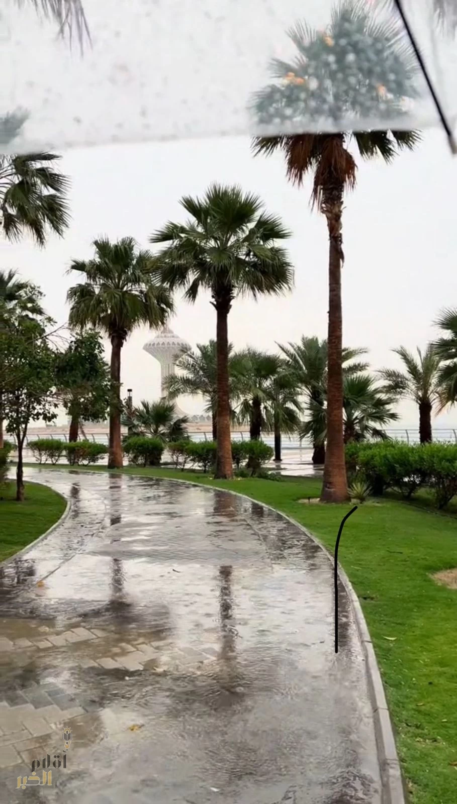 حينما يُمطر الحنين.. وداعًا صديقتي!