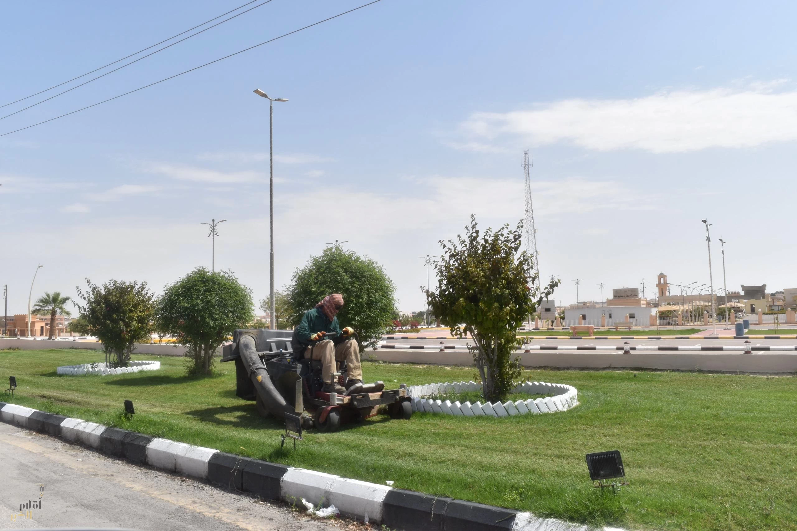 بلدية مليجة ترفع الرقعة الخضراء بـ280 شجرة جديدة وتحسن المشهد الحضري