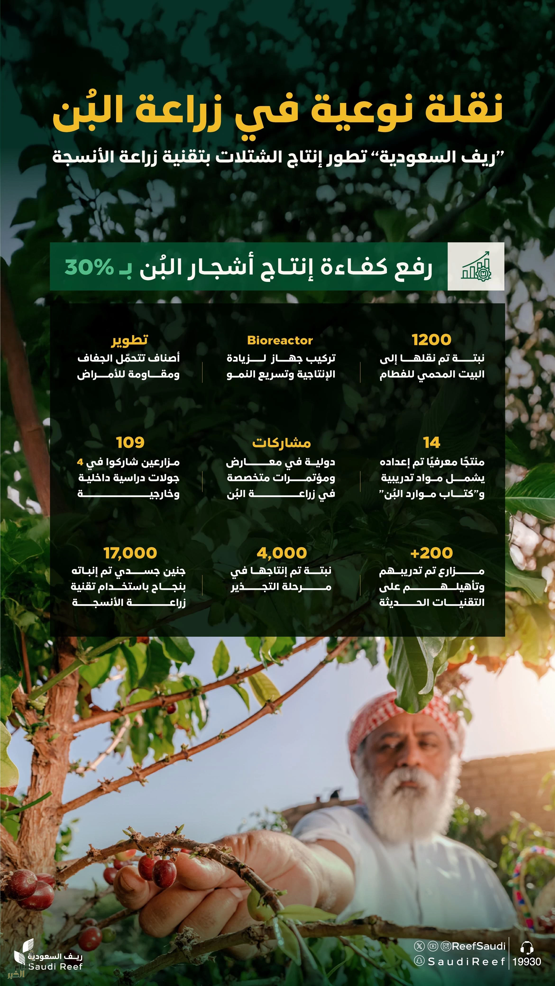 "ريف السعودية" يُطلق مشروعًا نوعيًا لتطوير زراعة أنسجة أشجار البُن لرفع كفاءتها بنسبة 30%