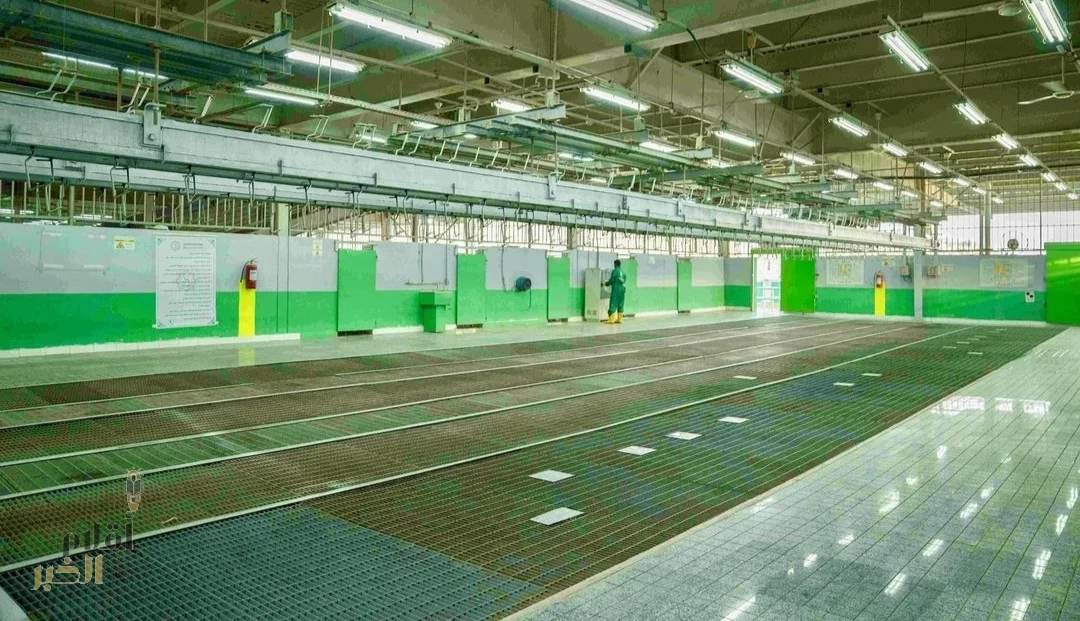 مشروع "أضاحي".. منظومة متكاملة تصل بإنتاجها إلى أكثر من 25 دولة