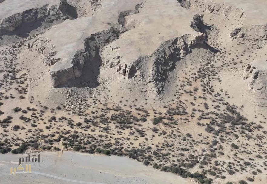 "الغطاء النباتي" يدعو لإبداء الرغبات في الاستثمار بـ 13 متنزهًا وطنيًّا بمنطقة الرياض