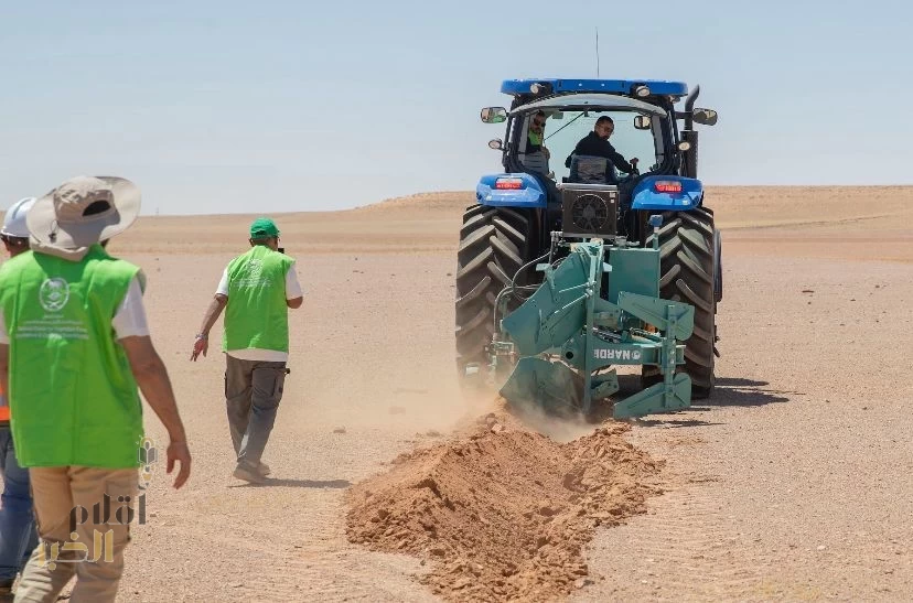 "الغطاء النباتي" يبدأ تأهيل المراعي الطبيعية في 33 موقعًا بالمملكة