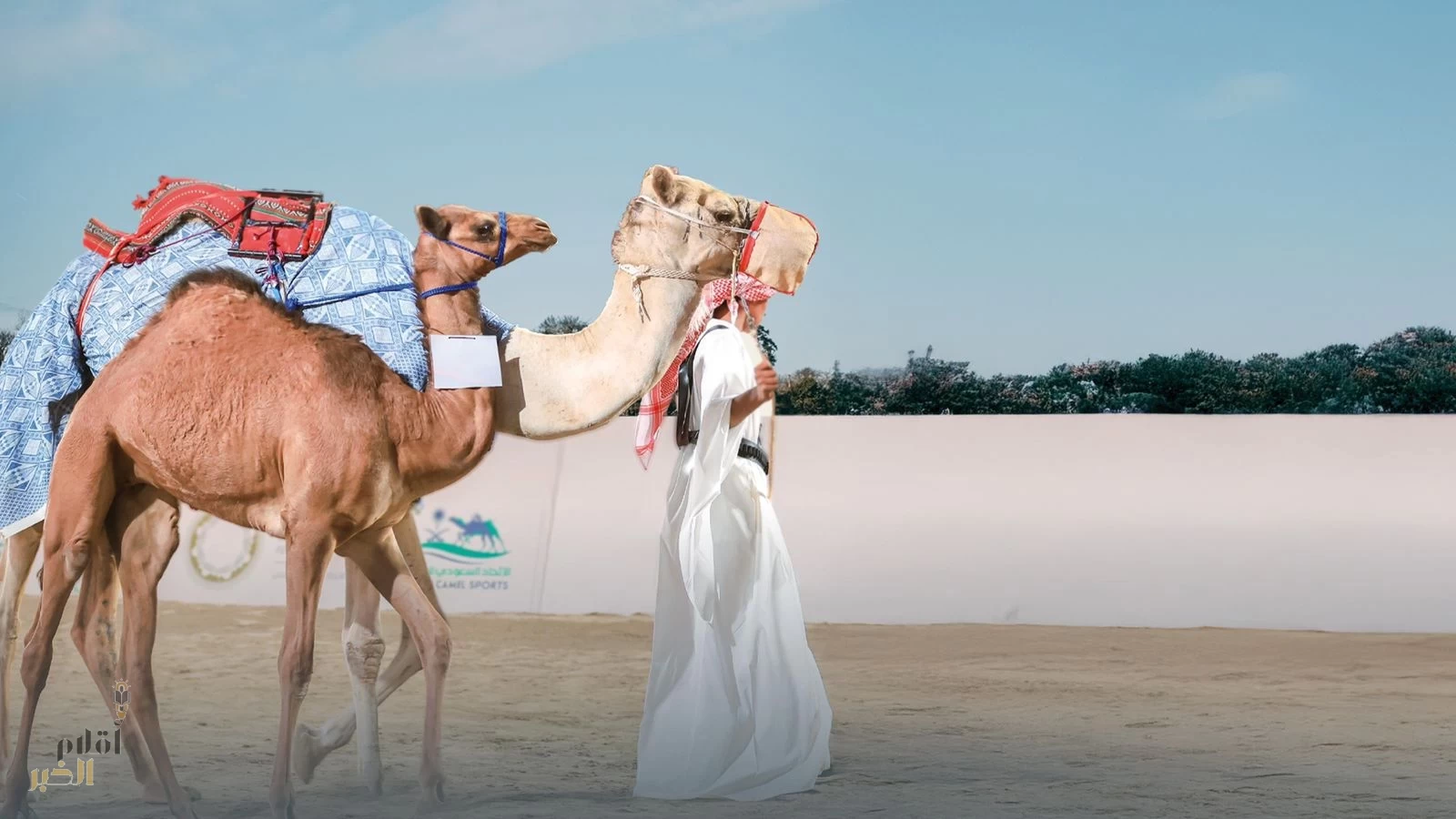 إضافة نوعية لمعرض الصقور والصيد السعودي الدولي 2025