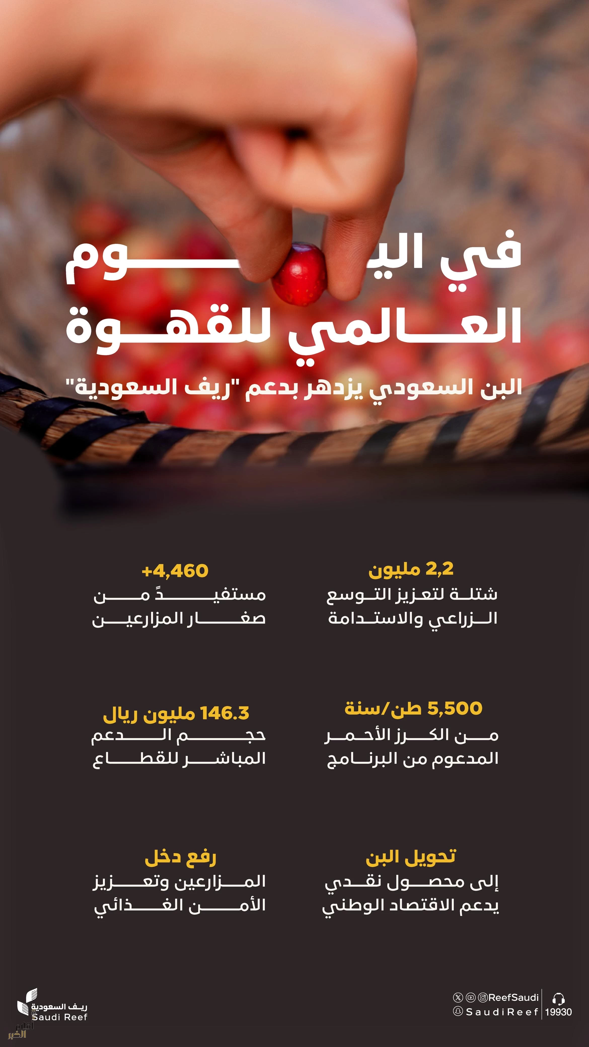 في اليوم العالمي للقهوة.. "ريف السعودية" يُساهم في تعزيز إنتاج المملكة من البن إلى أكثر من نصف مليون طن