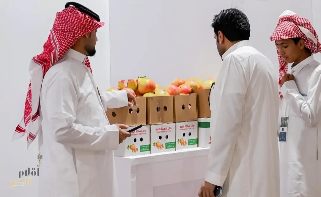 متاجر رمان الباحة الإلكترونية والنقل البري تشهد إقبالًا من جميع المناطق