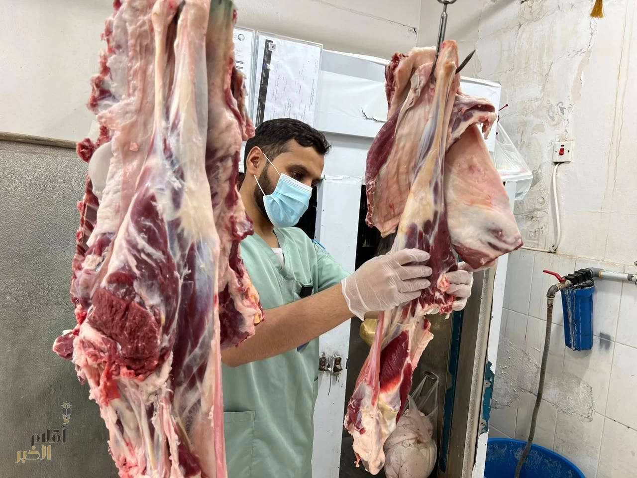 البيئة“ تلاحق مخالفات ”السلامة الغذائية“ في أسواق ومسالخ بحفرالباطن 