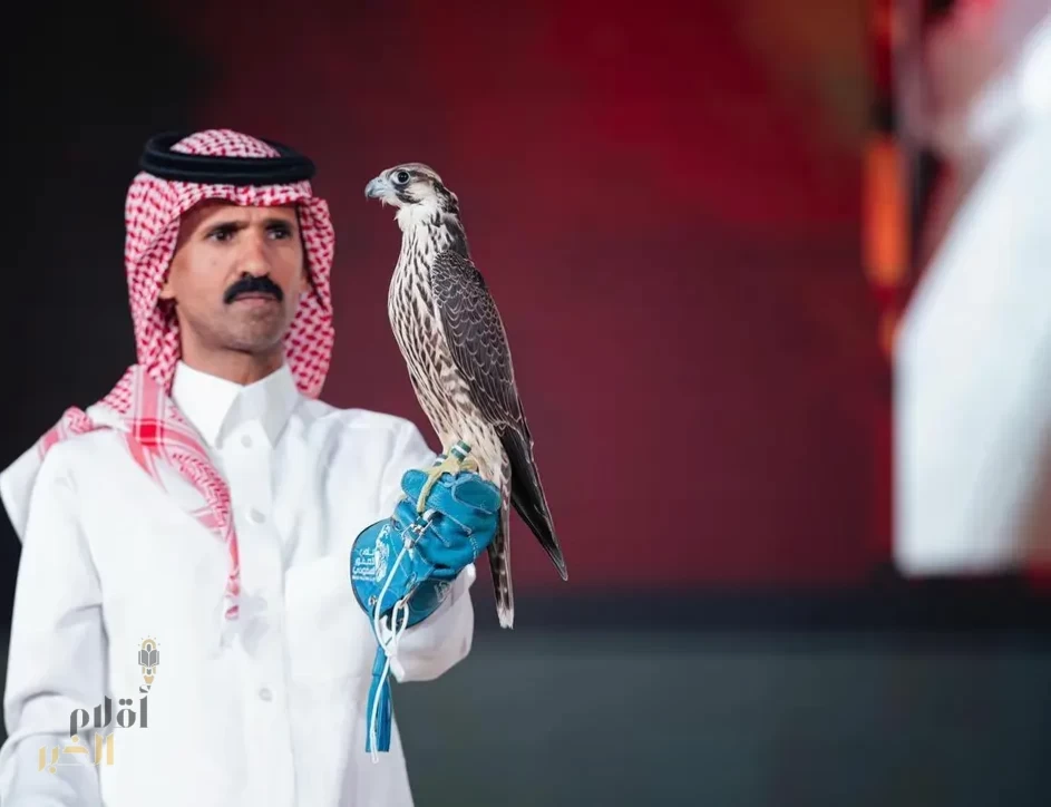 بيع شاهين فرخ بـ(136) ألف ريال في الليلة الـ14 لمزاد نادي الصقور السعودي 2025