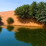 أيُّ التضاريس السعودية دخلت شبكة الجيوبارك العالمية؟