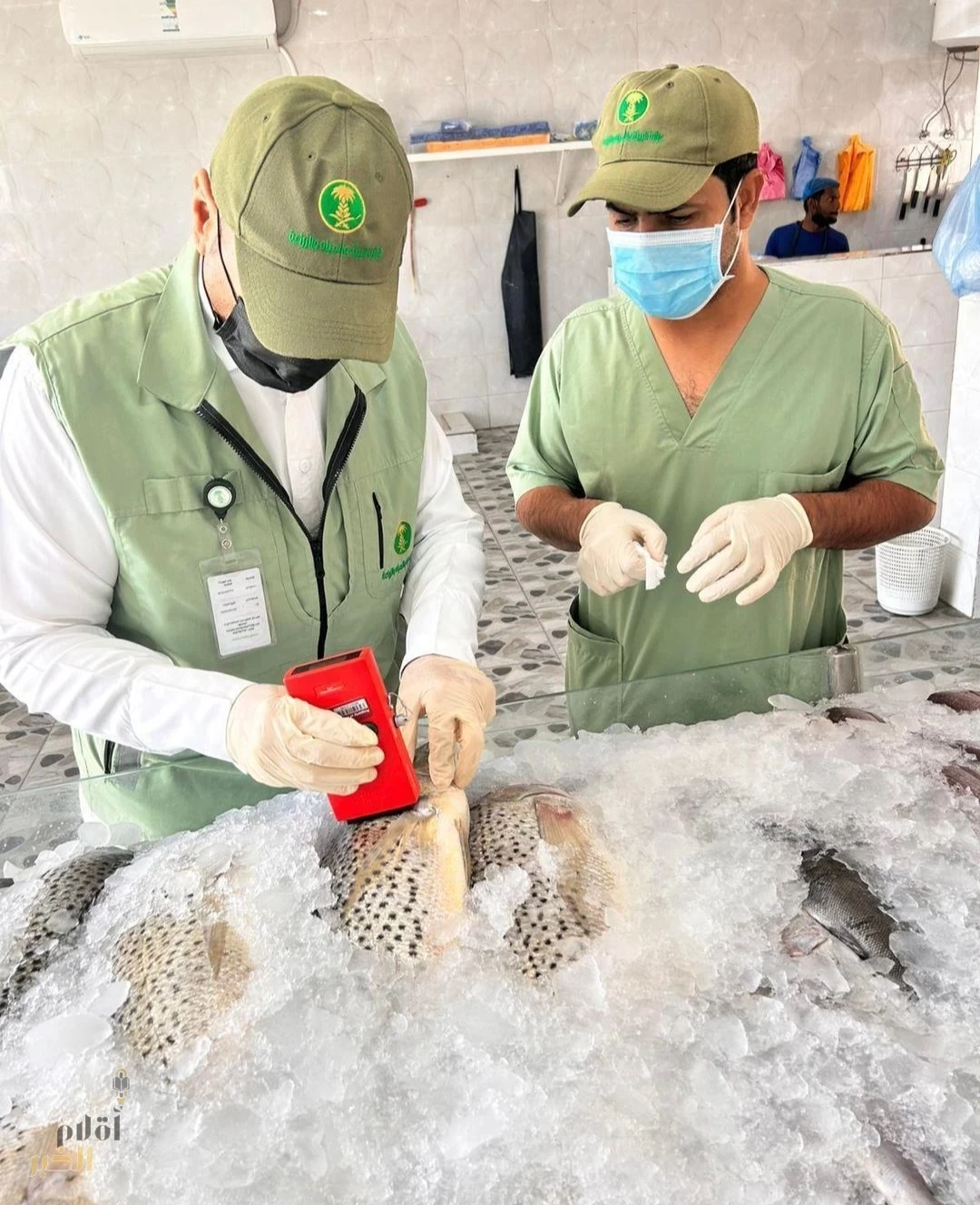 بيئة الجوف تنفّذ 996 جولة رقابية على أسواق النفع العام والمسالخ وتضبط 14 مخالفة