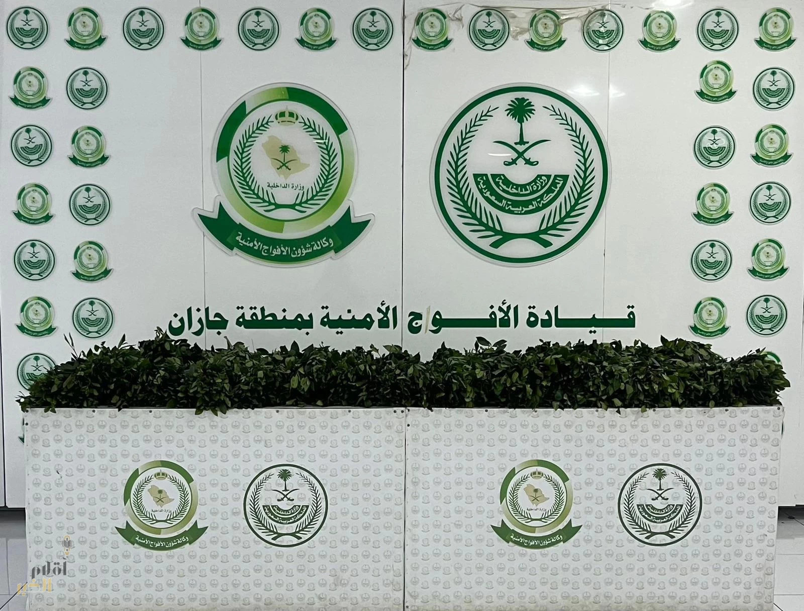 دوريات الأفواج الأمنية بمنطقة جازان تُحبط تهريب 33كلجم من نبات القات المخدر