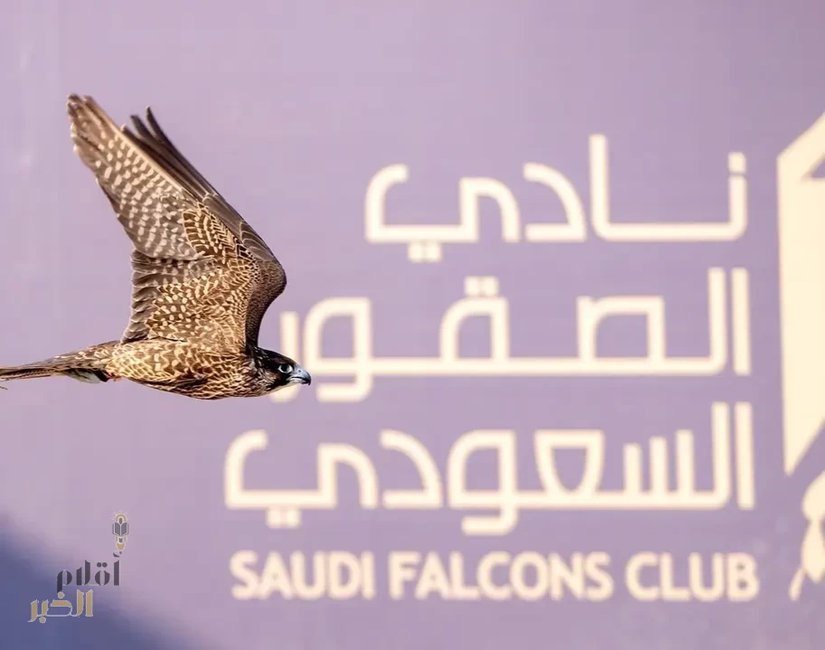 المنطقة الشرقية تستضيف كأس نادي الصقور السعودي 2025