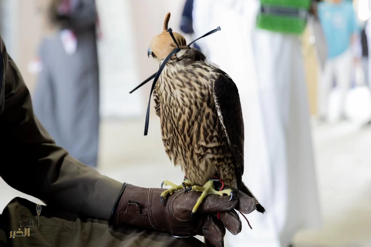 إقبال لافت على توثيق ملكية الصقور في منافسات كأس نادي الصقور 2025 بالخبر