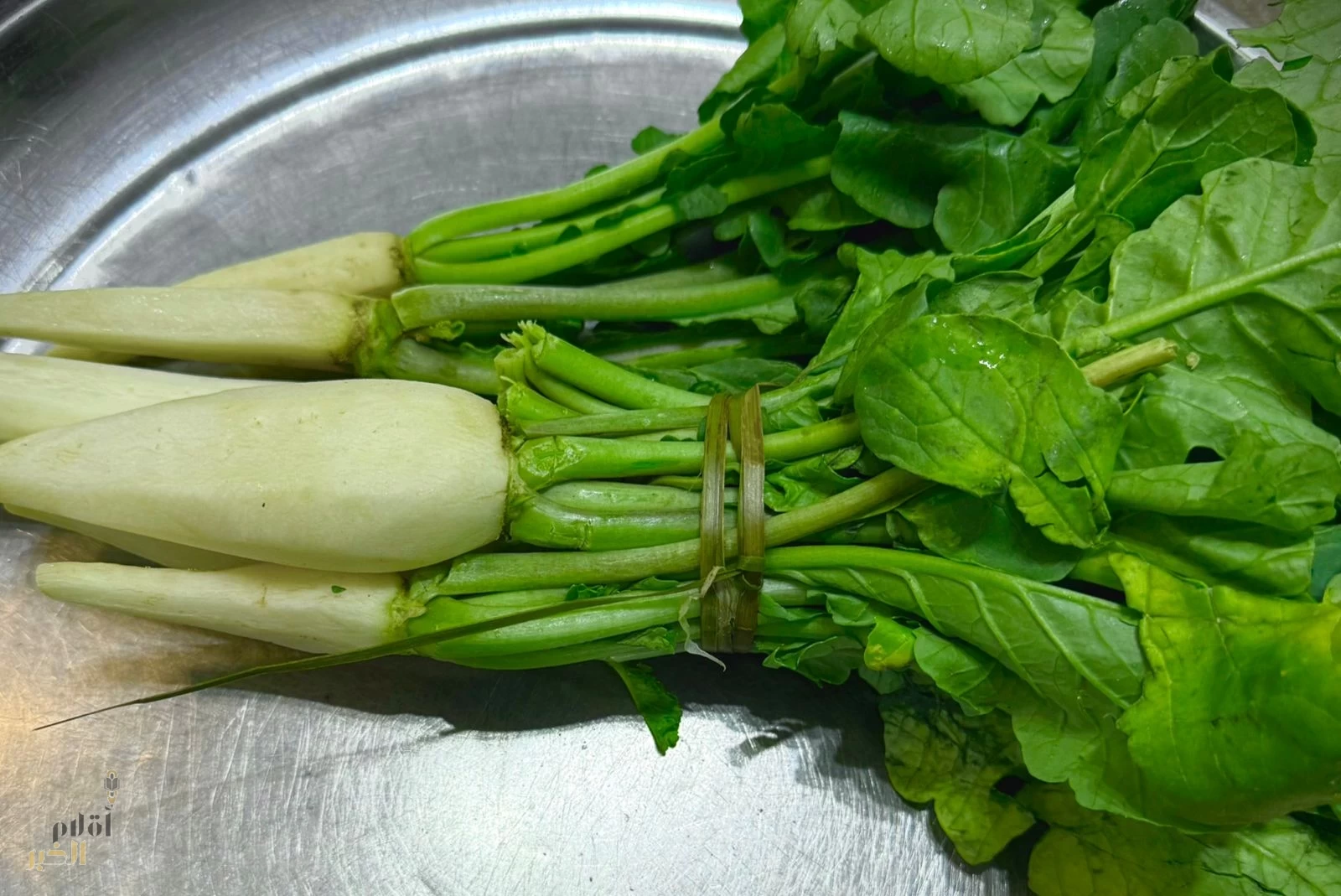 الفجل الأبيض.. كنز غذائي بسيط يكشف عن فوائده في تعزيز صحة الجسم 