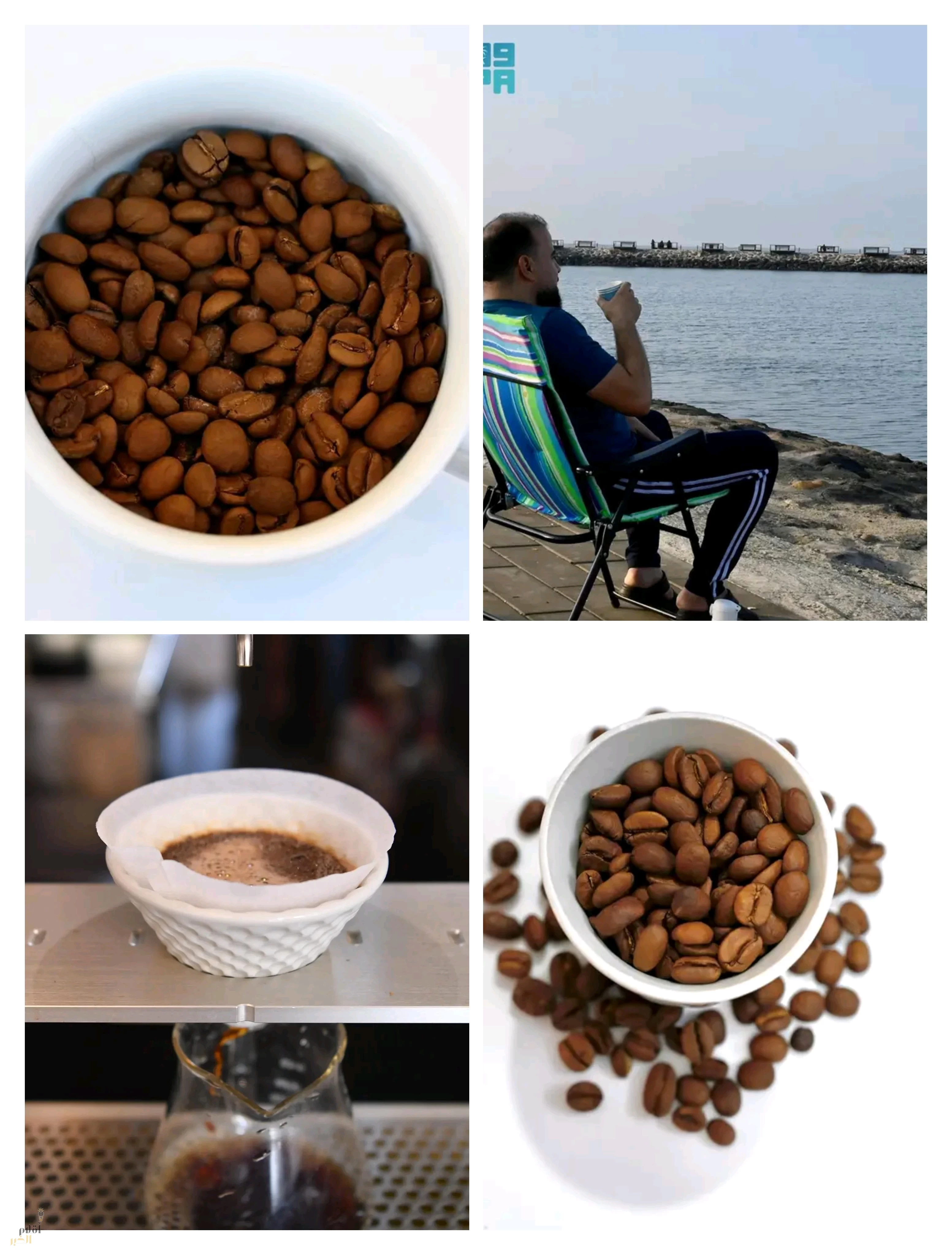 "القهوة".. إيقاع المدينة اليومي في كورنيش جيزان