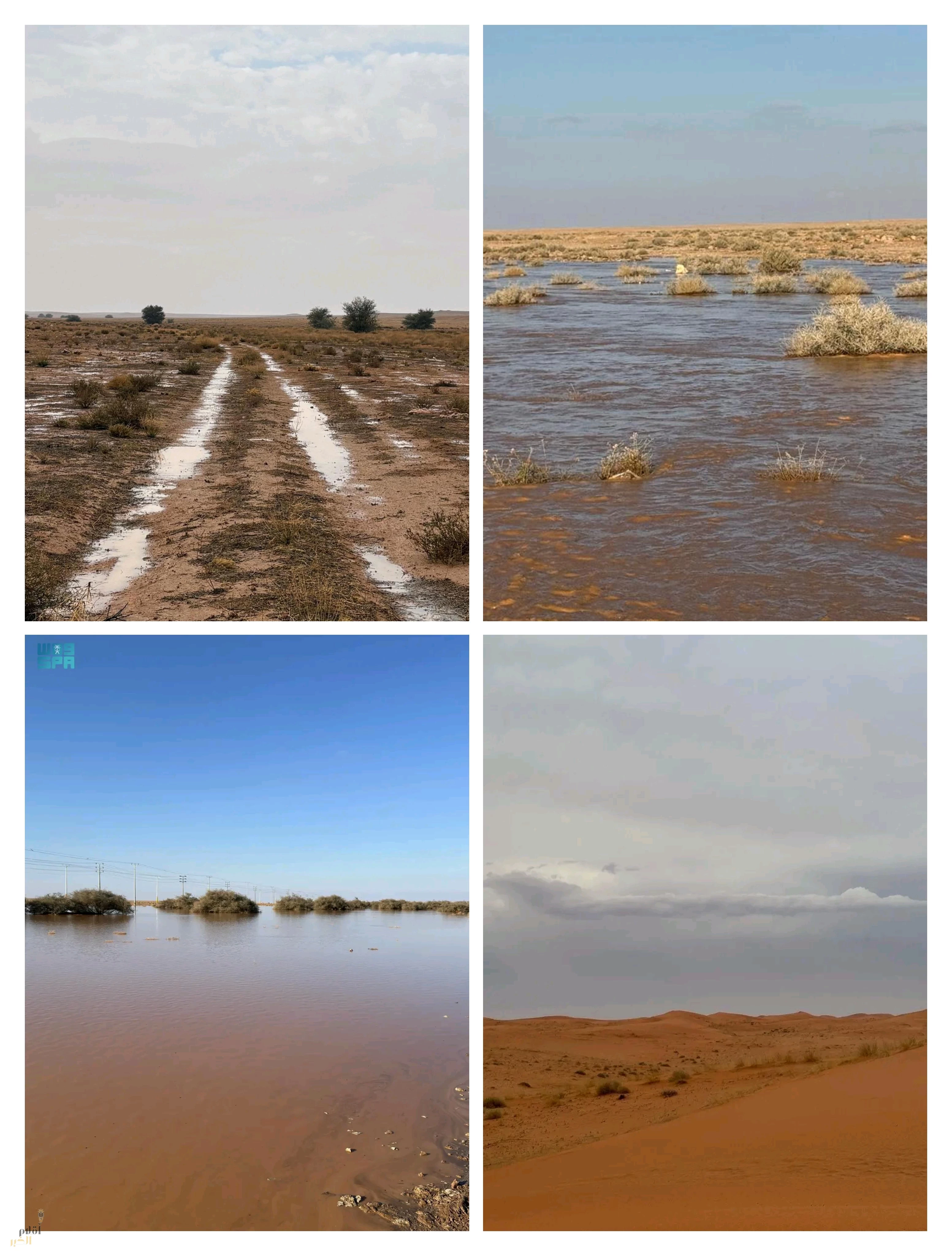 أمطار الخير تُنعش محمية الإمام تركي بن عبدالله الملكية