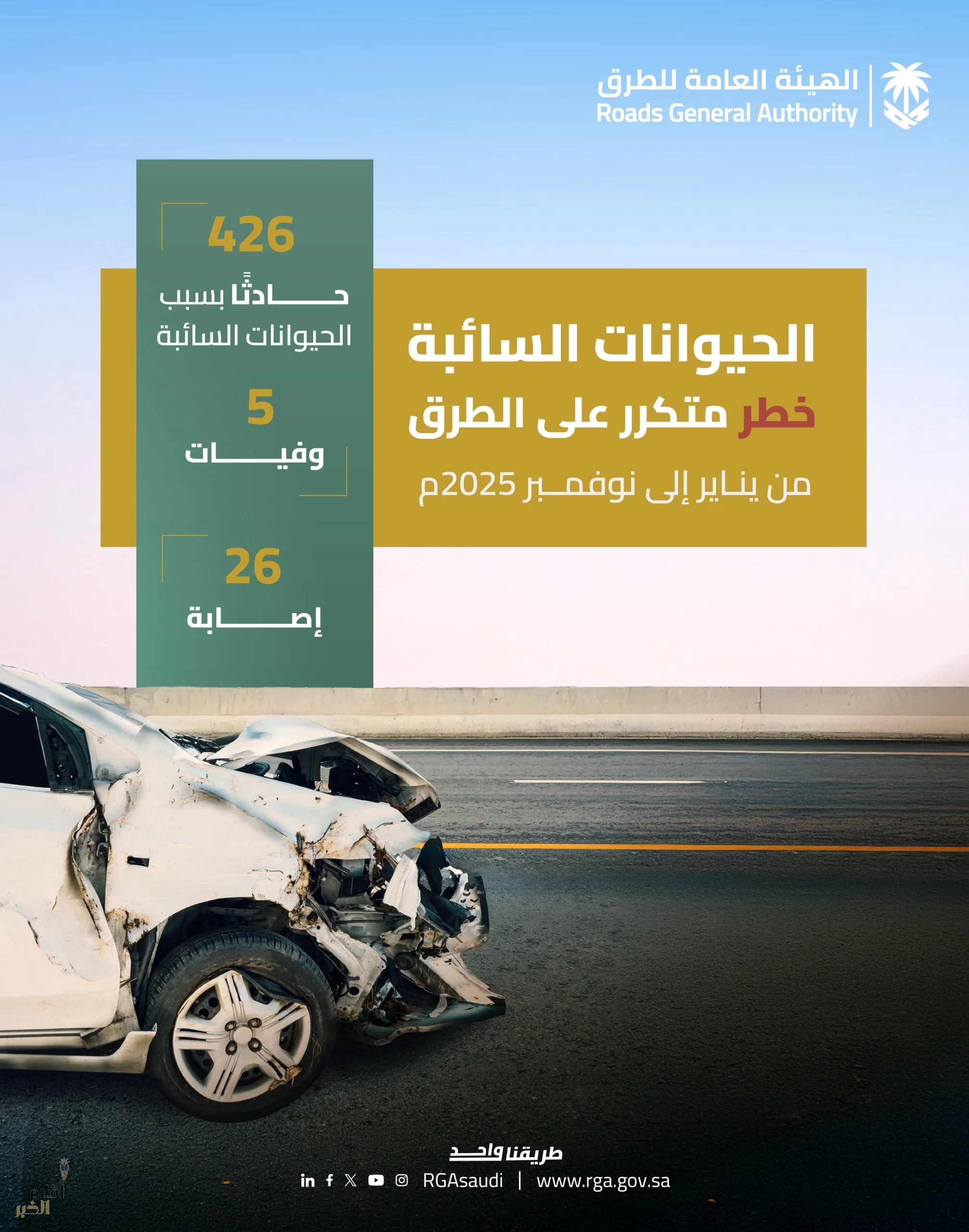 "هيئة الطرق" تكشف عن إحصائيات حوادث الحيوانات السائبة لعام 2025م