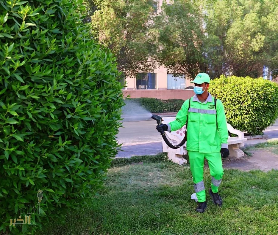 أمانة العاصمة المقدسة تنفّذ أكثر من 46 ألف عملية مكافحة لتعزيز الإصحاح البيئي