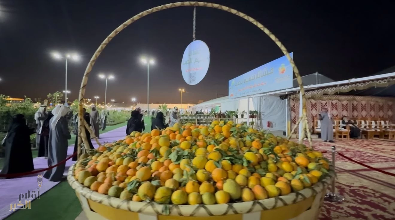 مهرجان الحريق العاشر للحمضيات