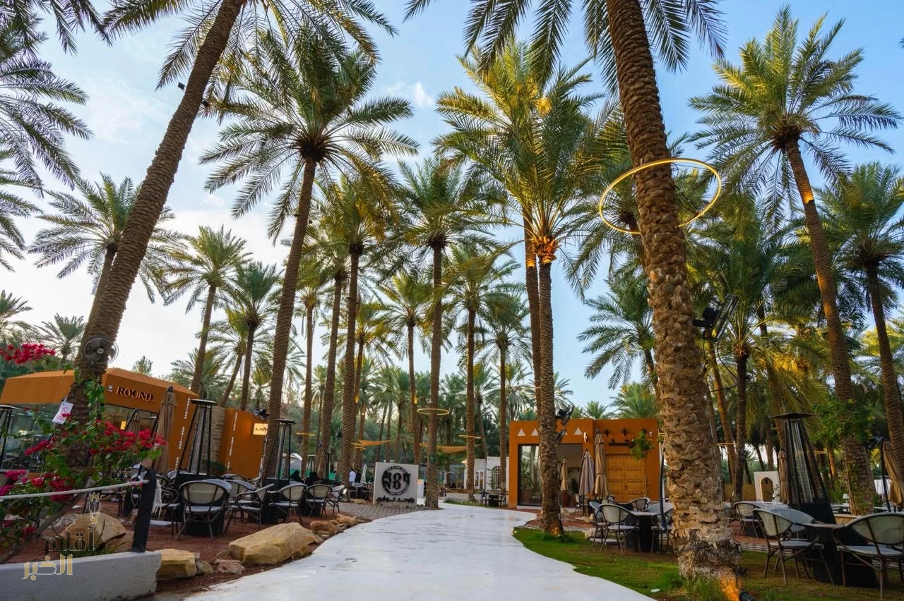 القصيم.. واحة الهدوء والتراث ووجهة مثالية للعائلات