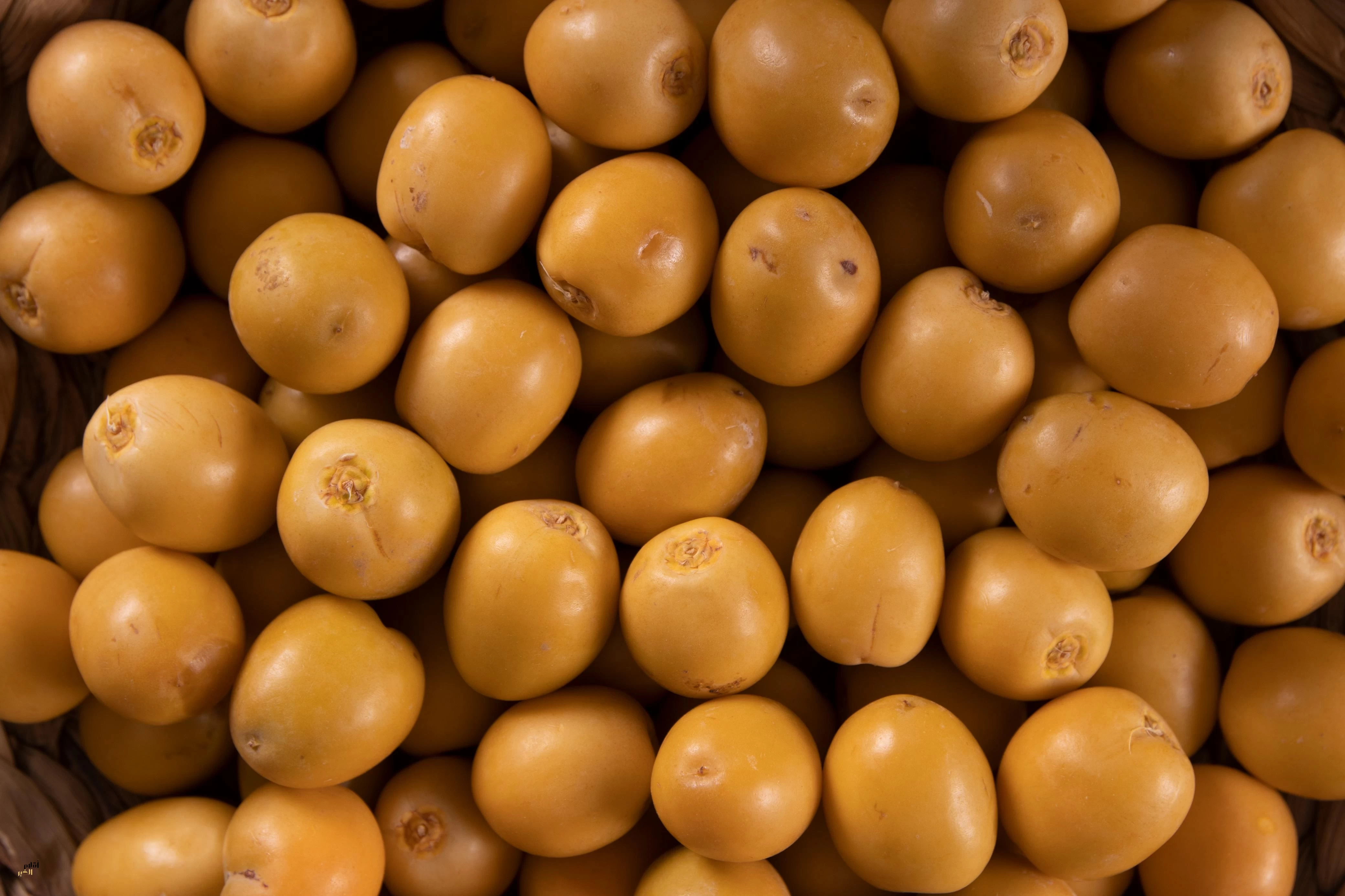 تمور الرياض تُزيّن موائد رمضان وتُعزّز القيمة الغذائية للمستهلكين