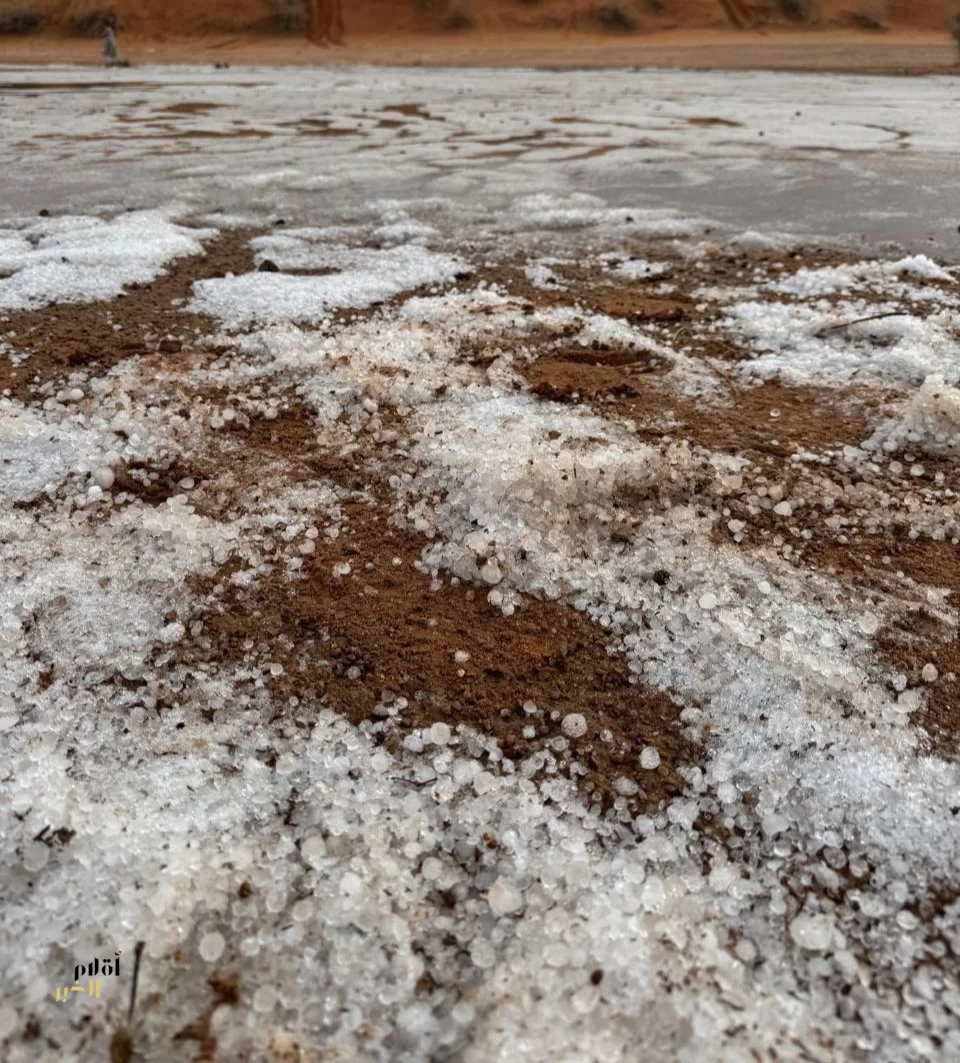 "الرداء الأبيض" يكسي نفود وسهول الجوف.. والأهالي يستقبلون الربيع بـ "البرد" والمطر