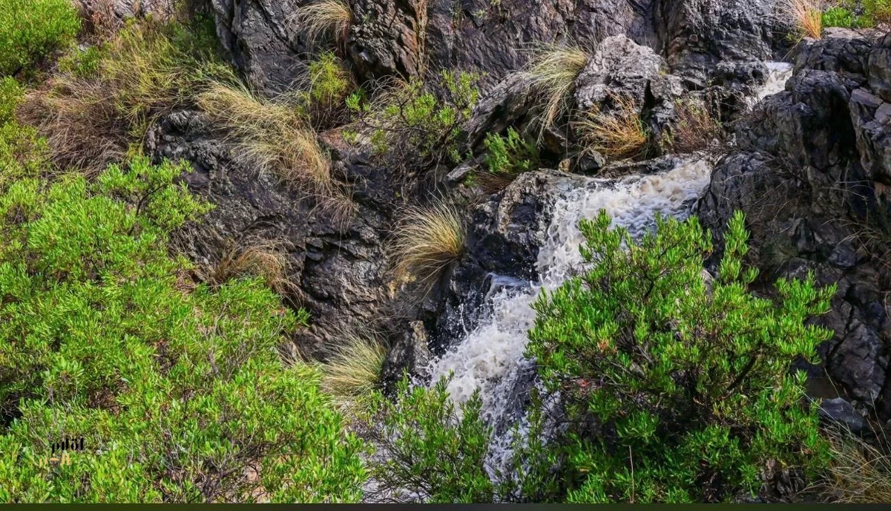 أمطار على منطقة الباحة 