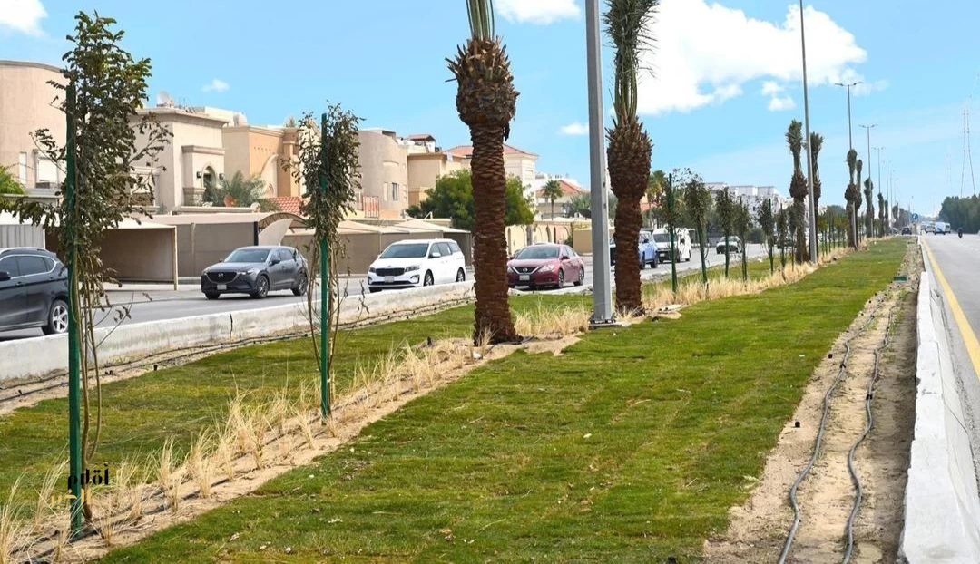 أمانة الشرقية: زراعة 3.3 ملايين شجرة وإصلاح 79 ألف م² من حُفر الطرق خلال الربع الأول من 2026