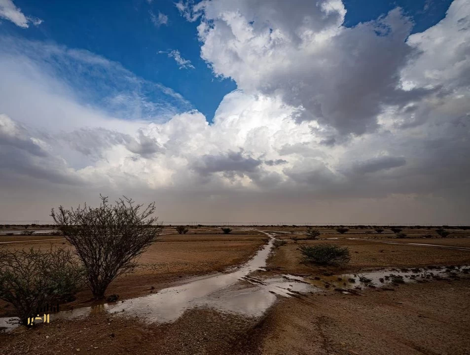 أمطار الخير ترسم مشاهد طبيعية متجددة في أودية عشيرة شمال الطائف