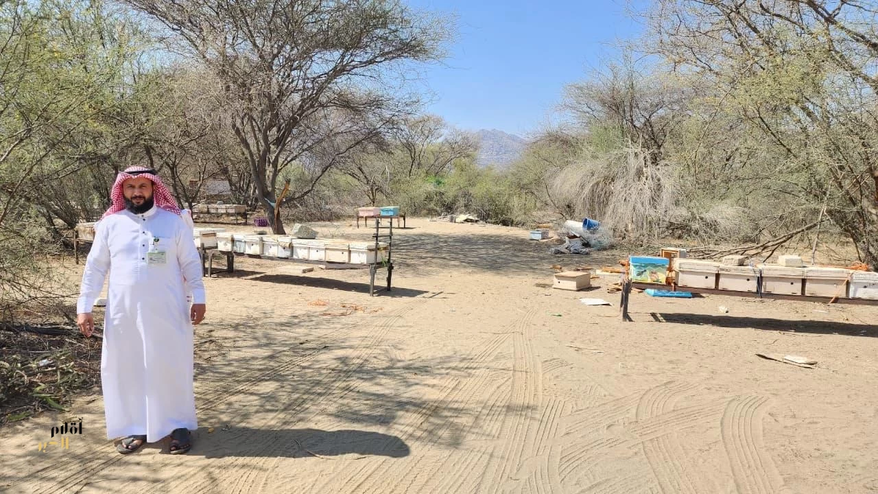 ‏بيئة العرضيات تنفّذ جولات رقابيّة لتعزيز جودة العسل واستدامة تربيّة النحل