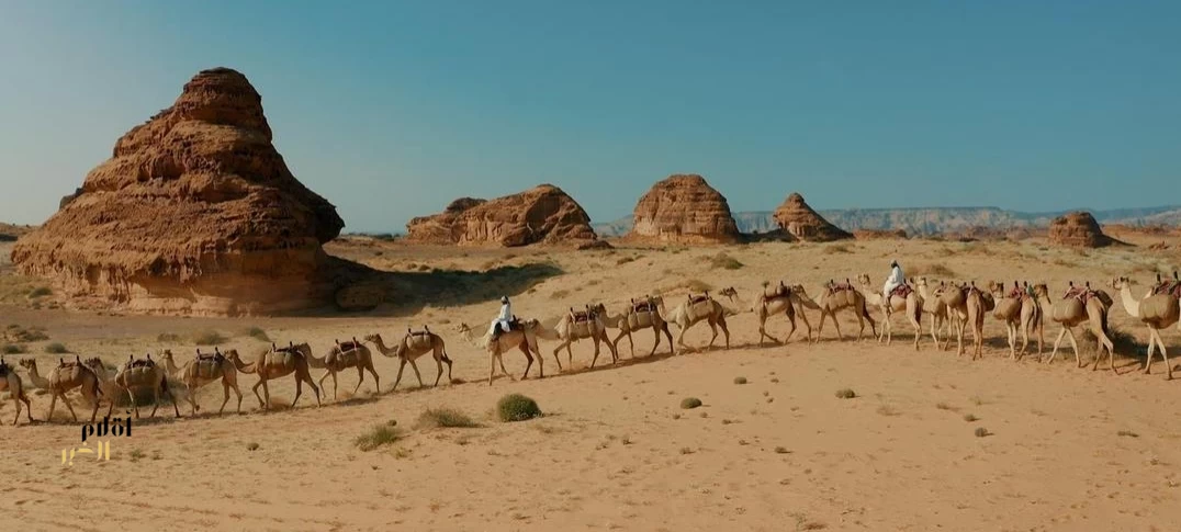العُلا تحتفي بإرث الإبل وتعيد صياغة حضورها في المشهد الثقافي والرياضي